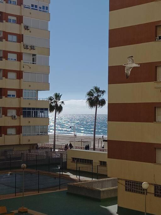 Alegrias De Cadiz By Gades Gestion Apartamento Exterior foto